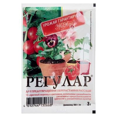 Регулар