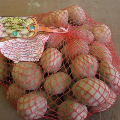 Семенной картофель Удача